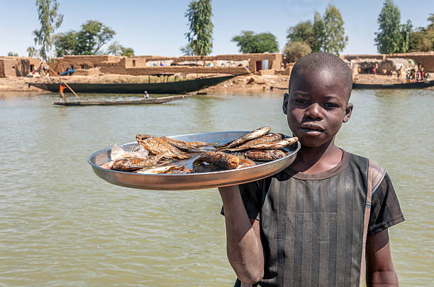 African boy Child from Chad sells dried fishes. central africa stock pictures, royalty-free photos & images