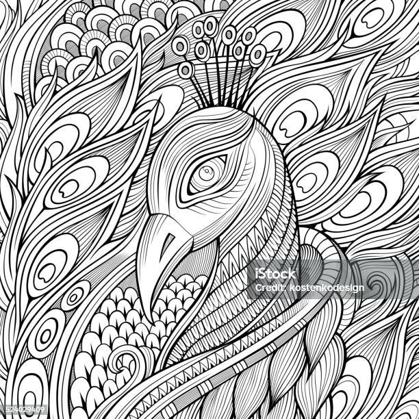 Decorative Hand Drawn Peacock Stock Illustration - Download Image Now - Tropical Climate, Abstract, Air Vehicle