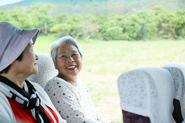 viaje en autobús, mujer anciana - bus family travel destinations women fotografías e imágenes de stock