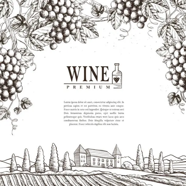 Vector illustration of exquisite winery poster design
