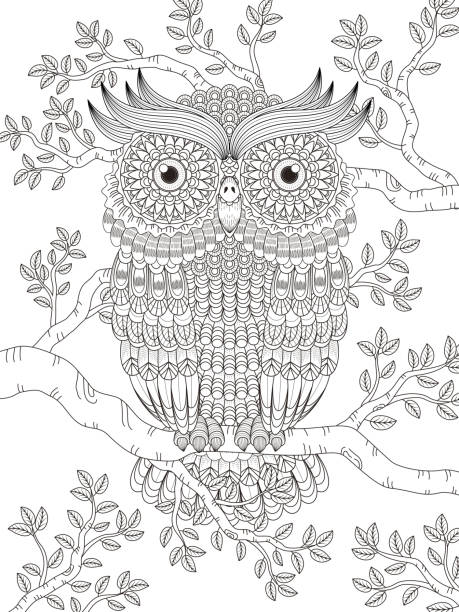 dorosły kolorowanka stronie z pięknymi owl - big eyes obrazy stock illustrations