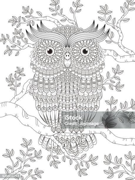 Adult Coloring Page With Gorgeous Owl Stock Illustration - Download Image Now - Coloring Book Page - Illlustration Technique, Adult, Illustration