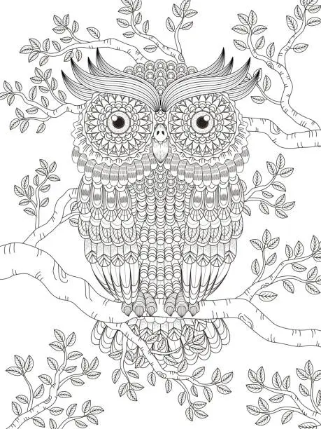 Vector illustration of adult coloring page with gorgeous owl