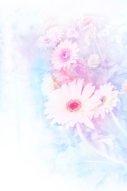 istock Flower watercolor illustration. 524036204