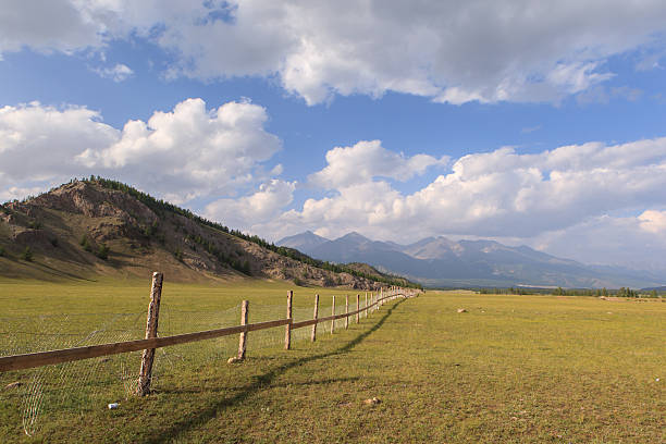istock Fence for cows and yaks in mountains. 524051847
