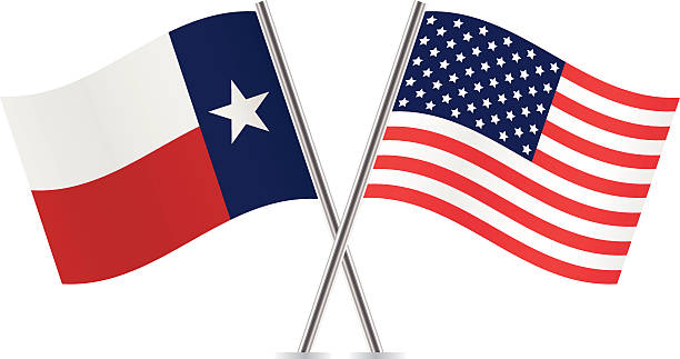 amerikanische und texas-flags. vektor. - texas state flag stock-grafiken, -clipart, -cartoons und -symbole