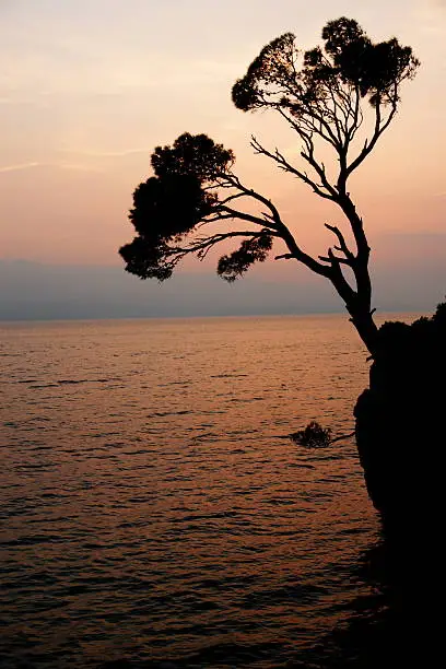 Adriatic coastline at Brela Croatia (most beautiful beach of Europe at 2004 (by Forbes))