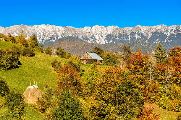 istock Countryside landscape in a romanian villlage 524054749