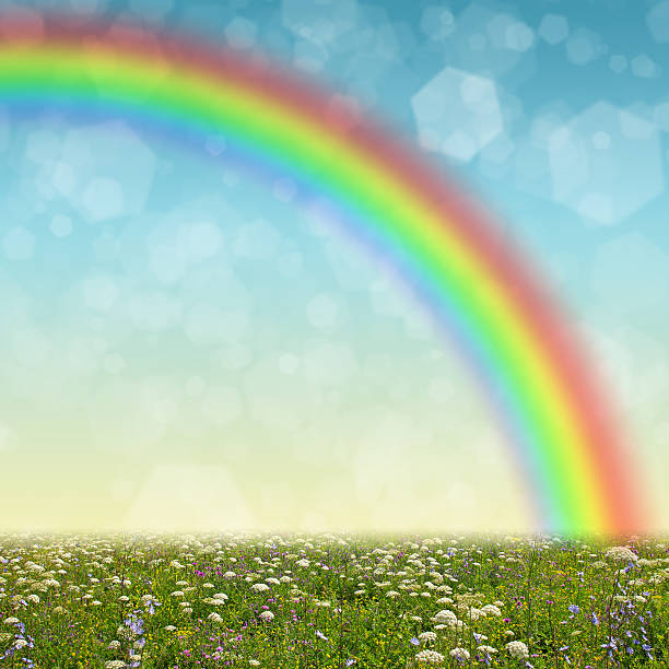 istock Wildflower meadow, blue sky and rainbow as a background 524055813