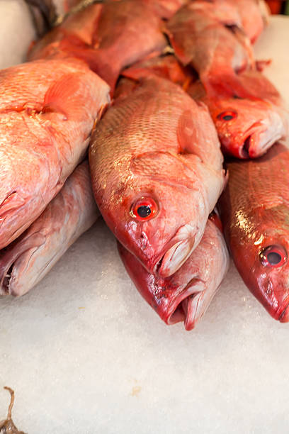 Fresh seafood on ice at the Jimbaran fish market. Fresh fish Red Snaper selling in the fish market in Jimbaran. Red fresh fish for sell in Pasar Ikan Kedonganan. Exotic fishes in traditional market.