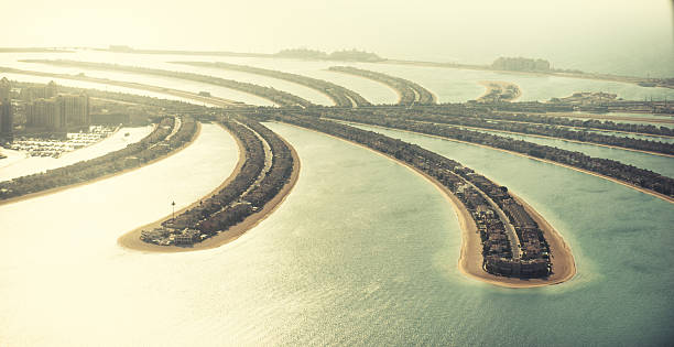 istock the palm jumeirah in Dubai with skyline 524068475