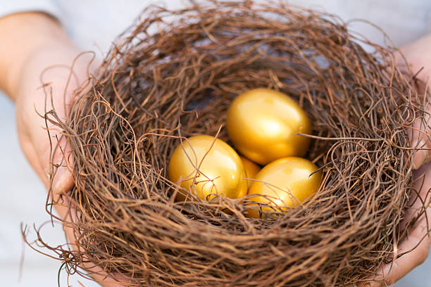 istock hands out golden eggs and  nest 524068823
