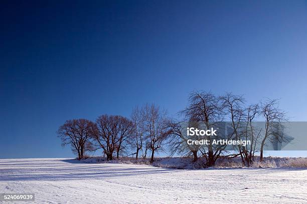 Winter Landscape Stock Photo - Download Image Now - Agricultural Field, Blue, Clear Sky