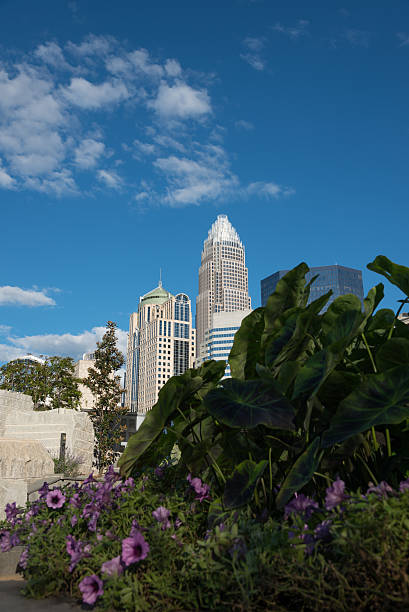 istock City view in Charlotte 524069795