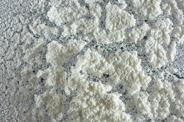 istock Close-up of Chemical Waste 524069847