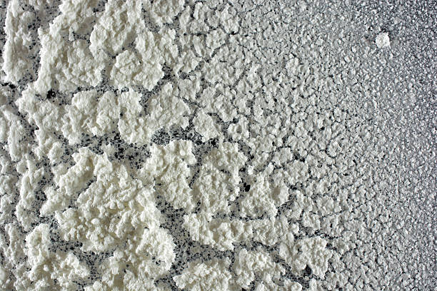 istock Closeup of cracked, textured, white chemical waste. 524069849