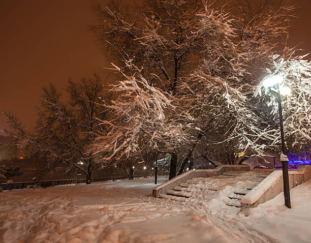 istock Winter park covered with white snow 524070747