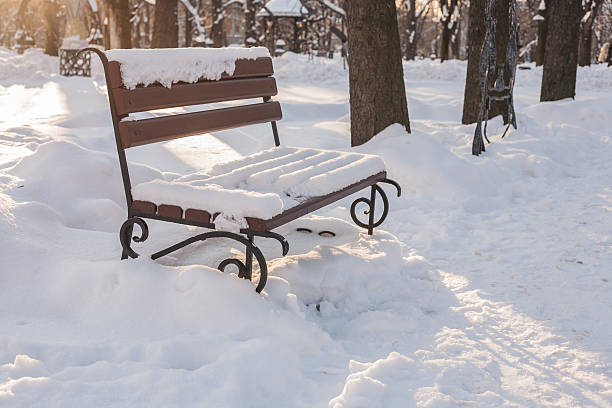 istock Benches in the winter city park 524071823