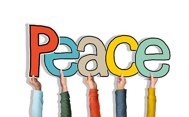 istock Group of Diverse People's Hands Holding Peace 524084581
