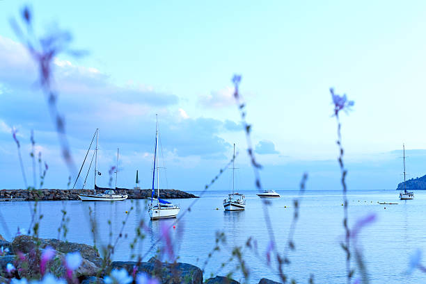 Evening harbor harbor evening scene after the sunset with pink flowers in the foreground. santa eulalia stock pictures, royalty-free photos & images