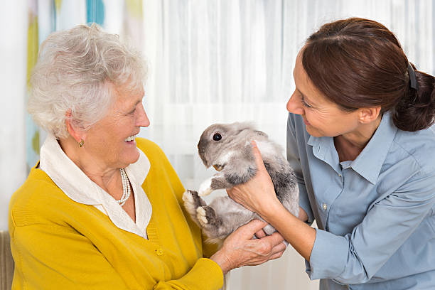 istock Pet Therapy – Senior woman with rabbit 524088967