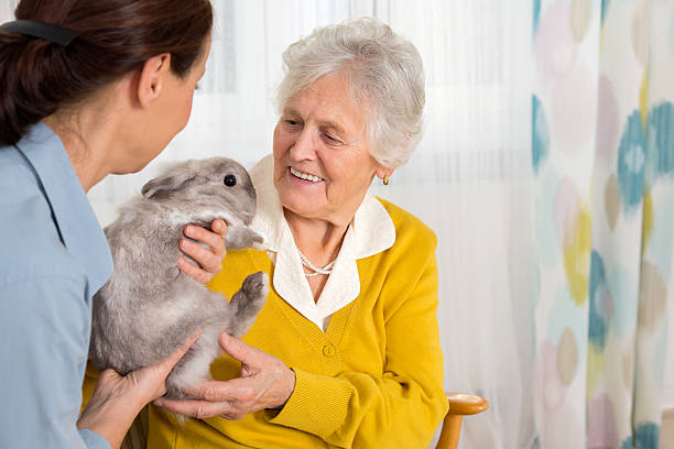 istock Pet Therapy – Senior woman with rabbit 524089013