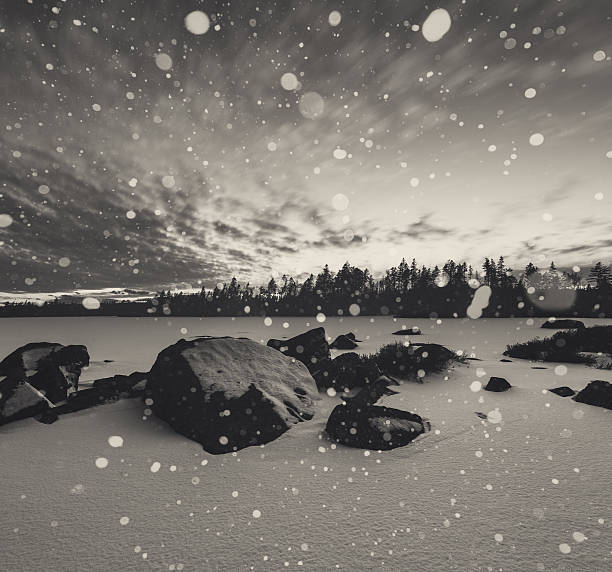 Free Stock Photo of Snow Flakes Falling in Black and White | Download ...