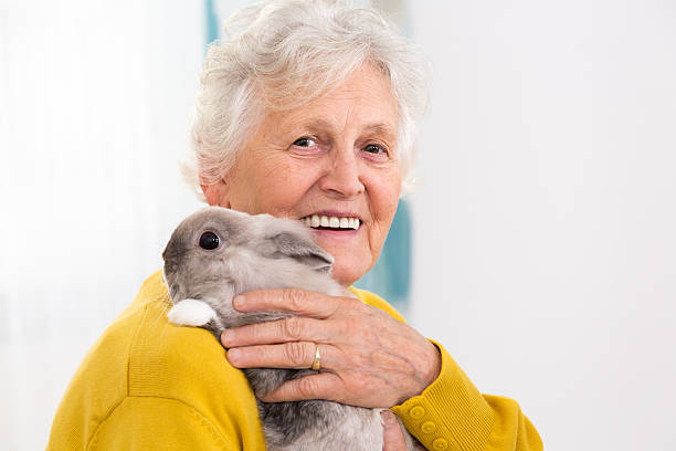 istock Senior woman with a little rabbit 524092079