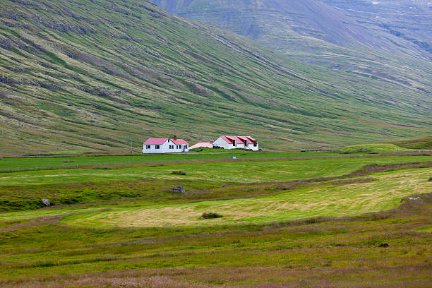 istock Icelandic Nature Landscape with Mountains and Dwellings 524128117