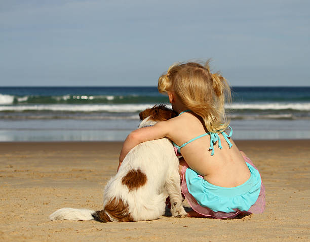 Little girl at the beach with jack russell dog A little girl with blonde hair, in her swimmers, sitting at the beach next to a pure bred wire hair/ rough coated Jack Russell Terrier dog, they are looking away from the camera towards the waves, girl is hugging dog with her left arm, her face is touching the dog's face. wire haired stock pictures, royalty-free photos & images