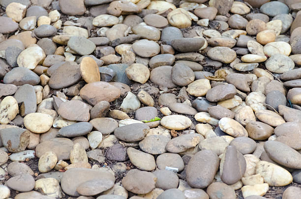 istock gravel pebble stones in garden 524129885