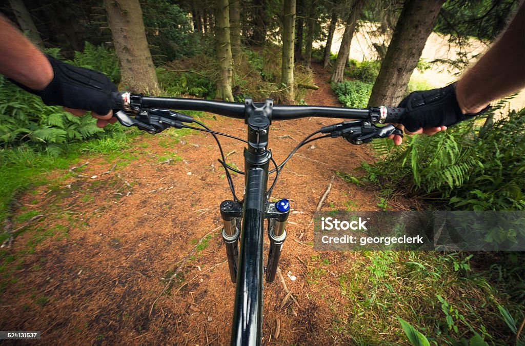 Forest Mountain Biking FIrst person perspective of a mountainbiker on a forest path. Activity Stock Photo