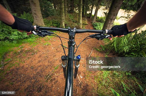 Forest Mountain Biking Stock Photo - Download Image Now - Activity, Bicycle, Bicycle Trail - Outdoor Sports