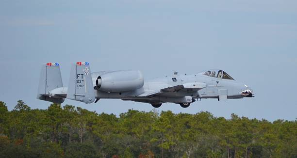 The A-10 Warthog/Thunderbolt II Pensacola, USA - November 12, 2011: Side-view of an Air Force A-10 Warthog/Thunderbolt II fighter jet flying at tree-top level. The A-10 is taking off from Naval Air Station Pensacola, Florida in November 2011. a10 warthog stock pictures, royalty-free photos & images