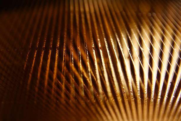 istock metallic glitter vintage lights background. defocused. 524150456