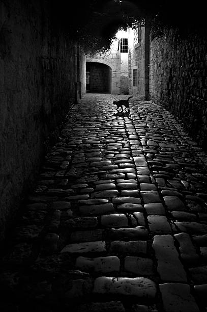 A dimly lit cobblestone alley in Edinburgh's Old Town, bathed in the glow of warm street lamps. The image captures the historic and atmospheric charm of Scotland’s capital city at night.