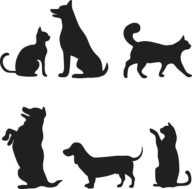 Cats and dogs set silhouettes of cats and dogs, vector illustration dog sitting vector stock illustrations