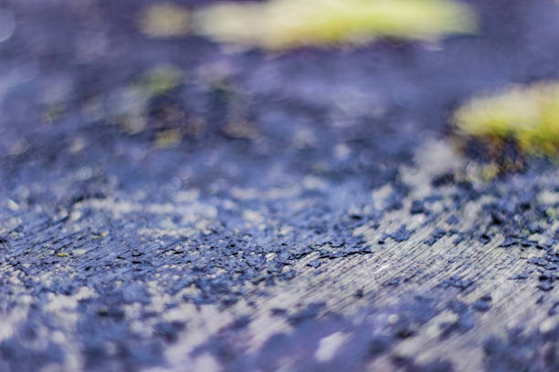 Background texture cracked wood. Shallow depth of field.