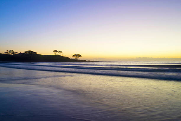 angourie - yamba imagens e fotografias de stock