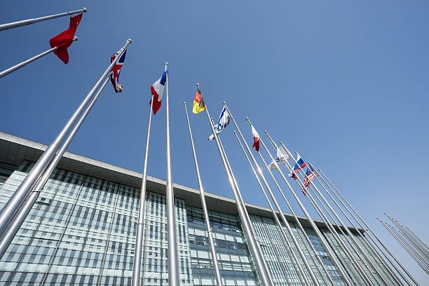 istock Modern building in front of the flag 524155132