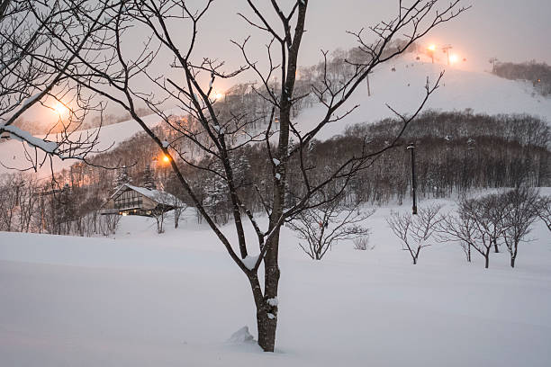 grand hirafu niseko zjednoczone ośrodek narciarski - mountain landscape winter mountain range zdjęcia i obrazy z banku zdjęć