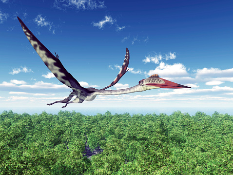 Computer generated 3D illustration with the Pterosaur Quetzalcoatlus