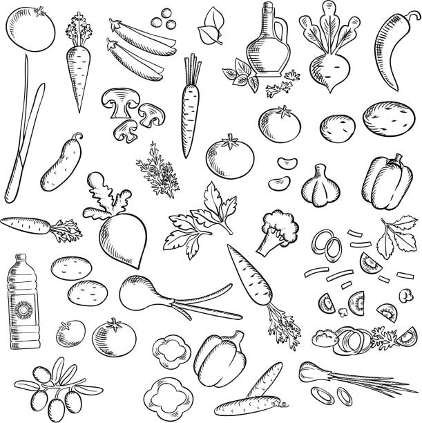新鮮な野菜、スパイススケッチアイコン - parsley garnish isolated herb点のイラスト素材／クリップアート素材／マンガ素材／アイコン素材
