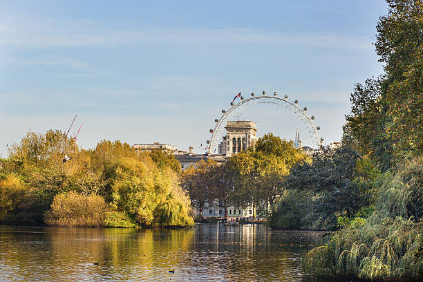 istock View of London Eye from St. James park 524156737