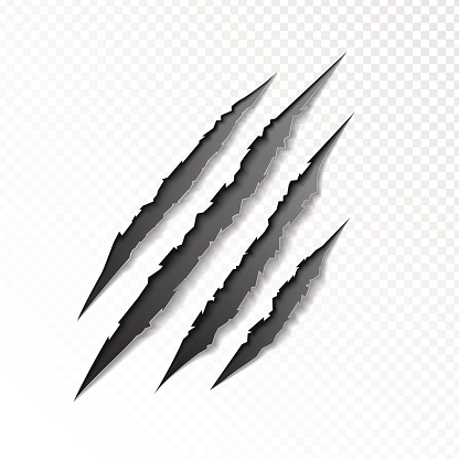 claws scratching animal vector illustration.