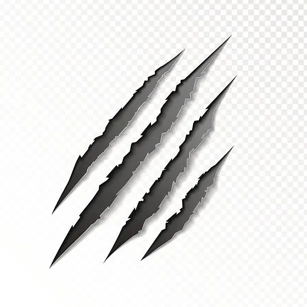 Vector illustration of claws scratching animal