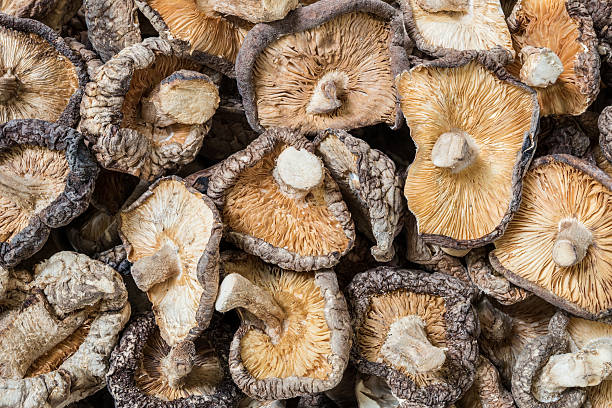 istock Closeup group of dried mushroom background 524165728