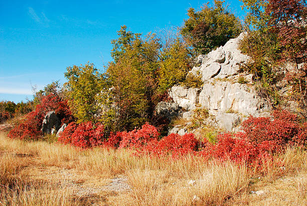 istock Autumn Colours in the Carso 524169609