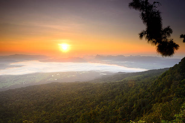 istock Phu Kradueng National Park 524169881