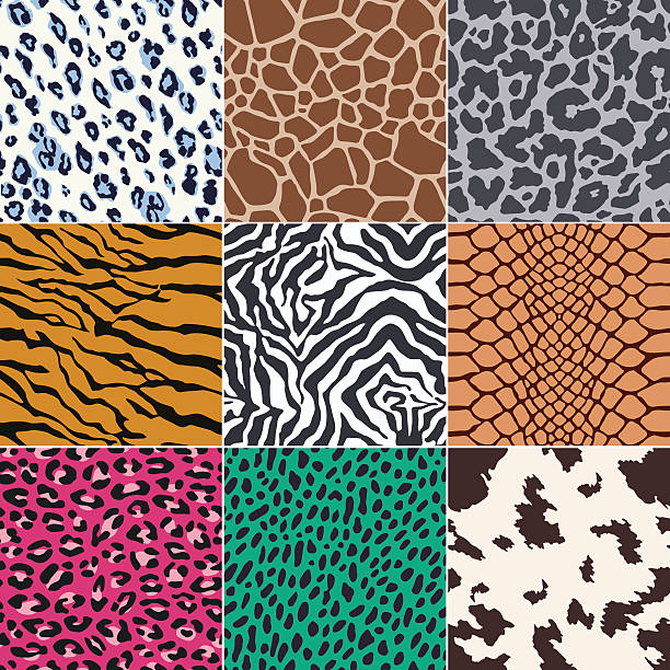 nahtlose tierhaut muster - exoticism animal africa cheetah stock-grafiken, -clipart, -cartoons und -symbole